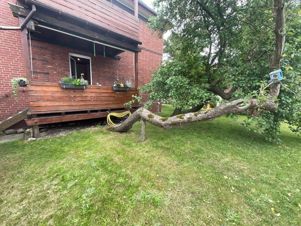 Ferienwohnung Am Kirschenbaum Steinhude Dış mekan fotoğraf